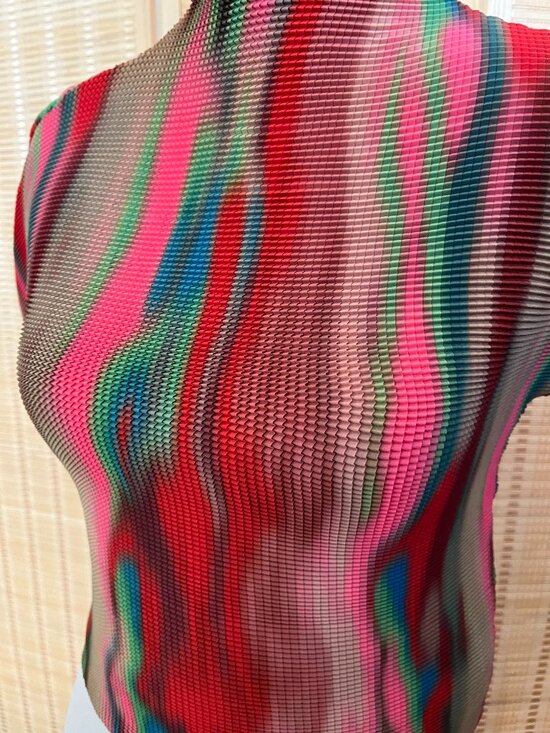 AKIRA Tops - High Quality Turtle Red top - Never Worn